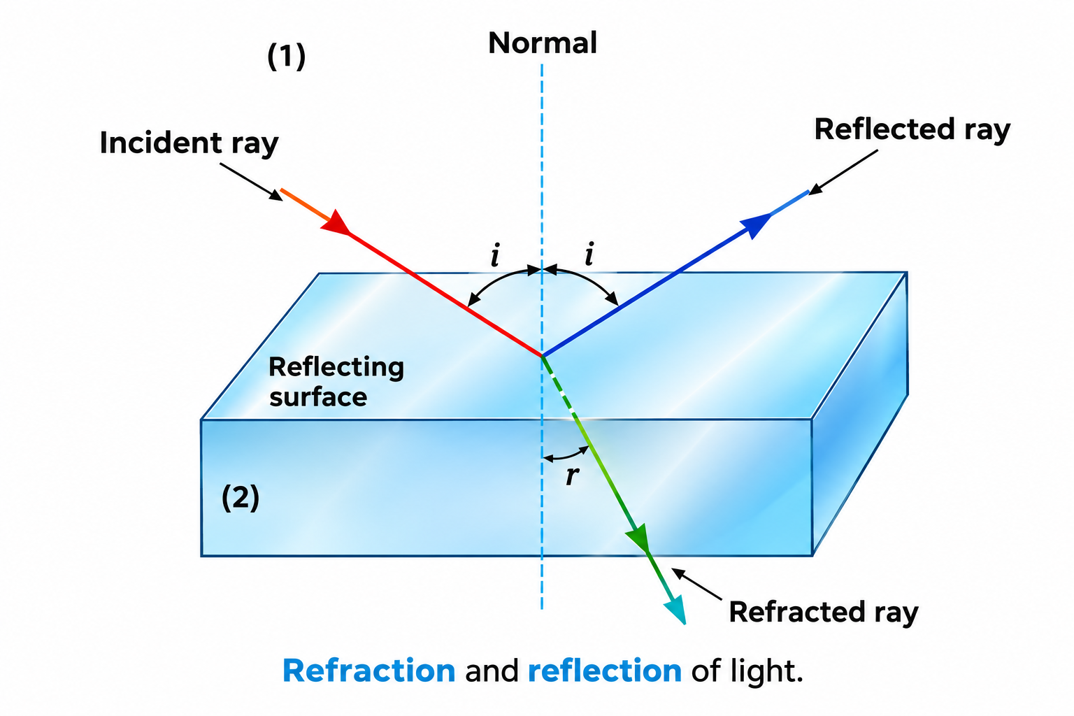 Figure 9.8: Refraction and reflection of light at an interface.